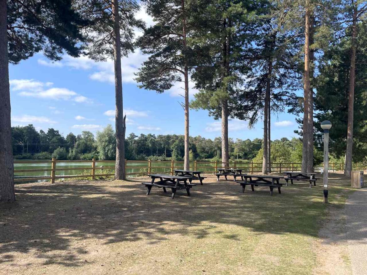 Waterfront Apartments for Rent in Austin TX - Zillow