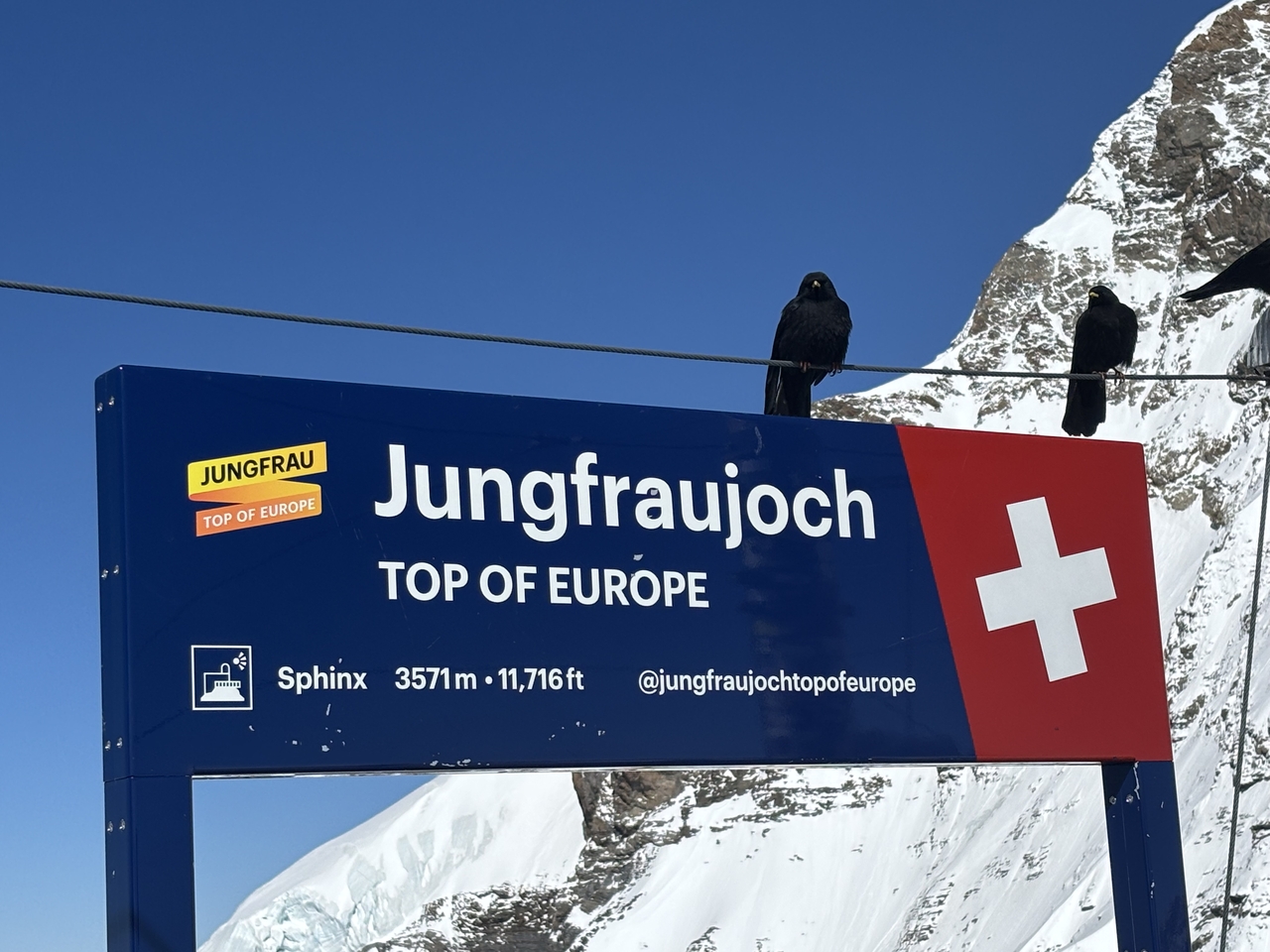 Flying high at the Top of Europe at Grinwald