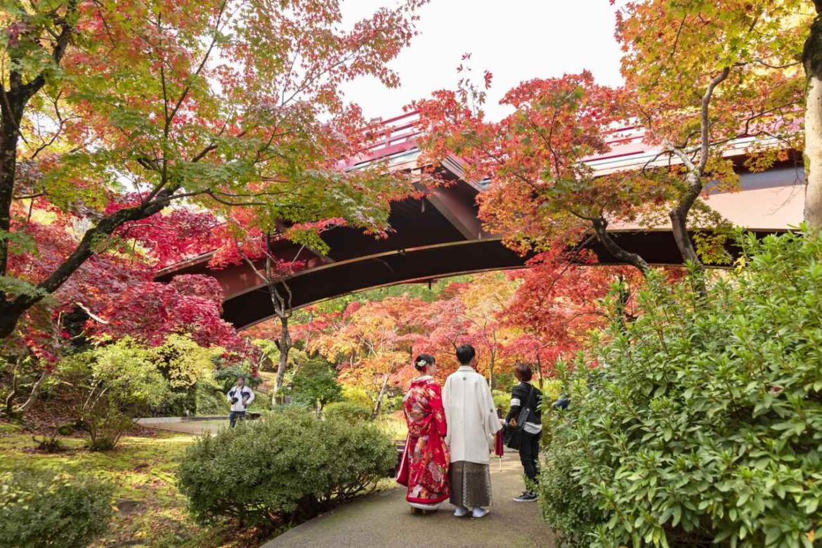 Yahiko Park