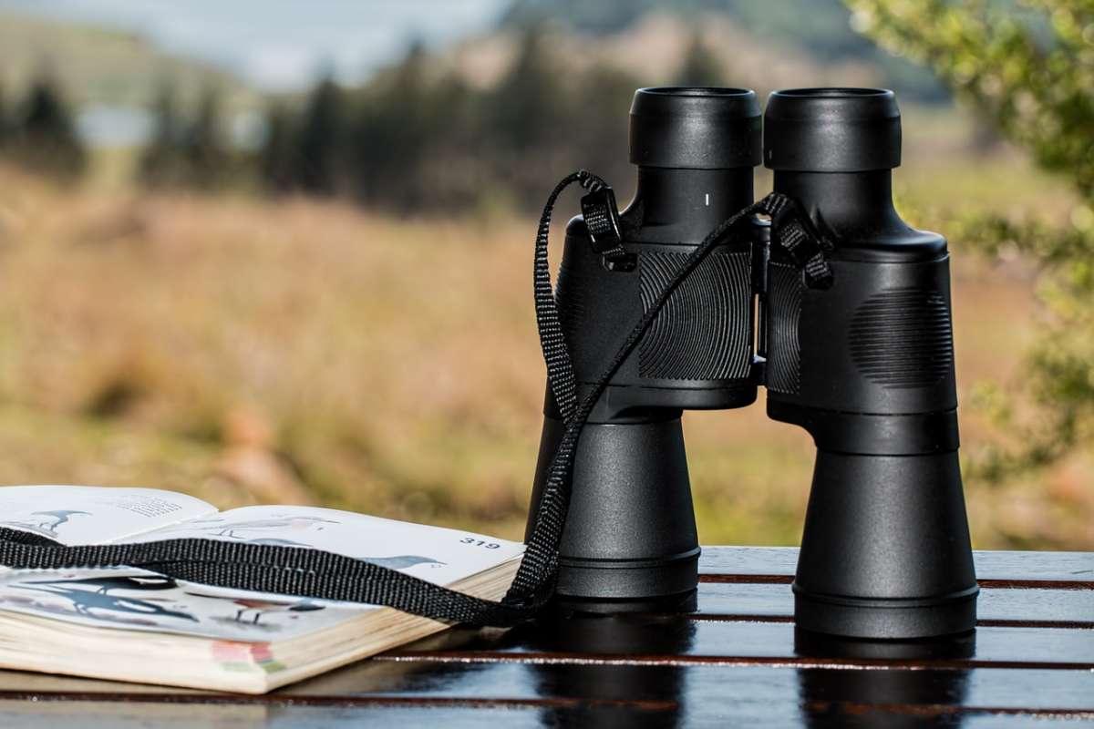 birdwatching binoculars