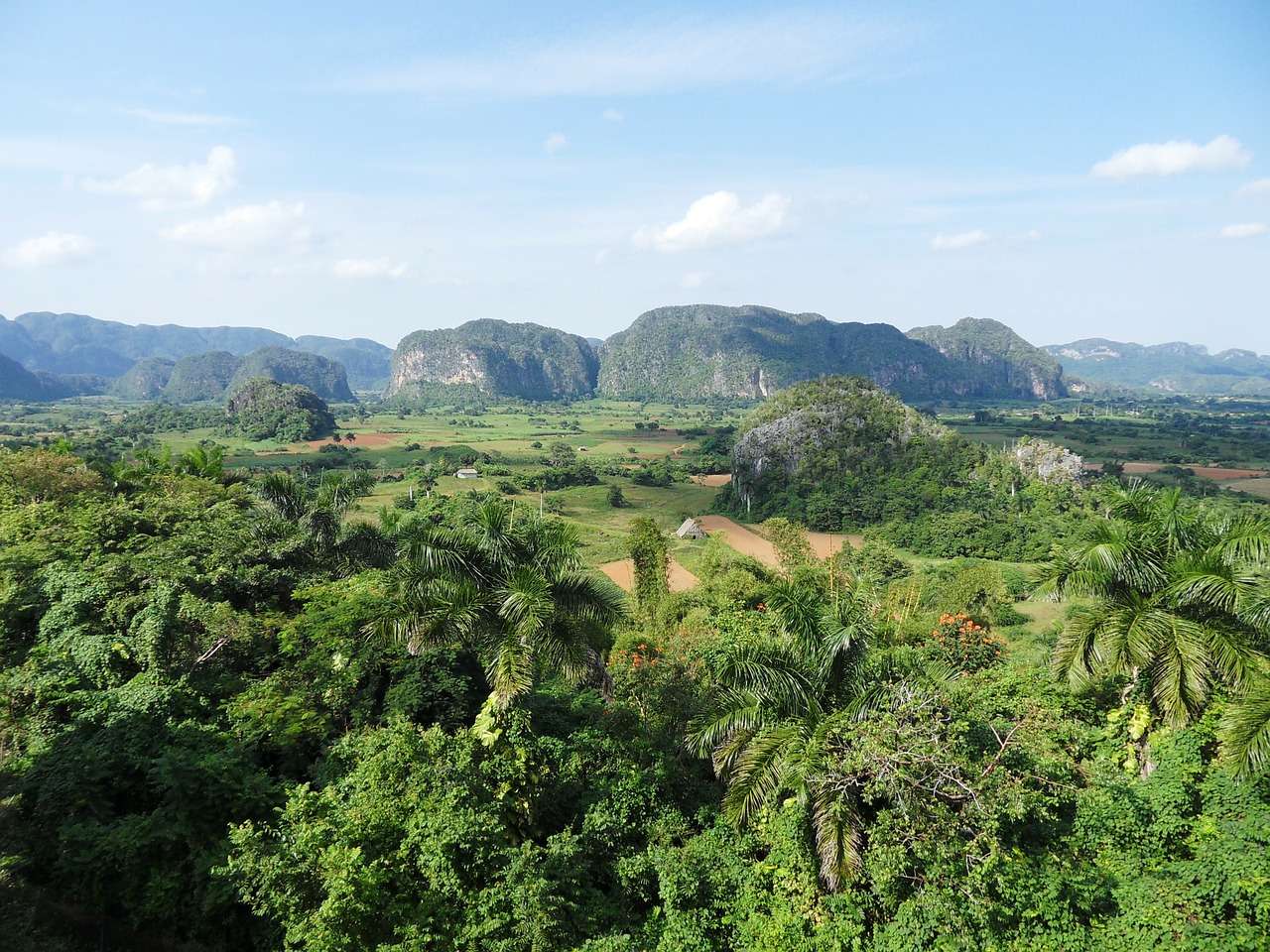 Cuba: landscape