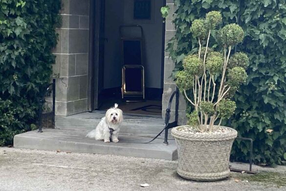 Mallory hotel