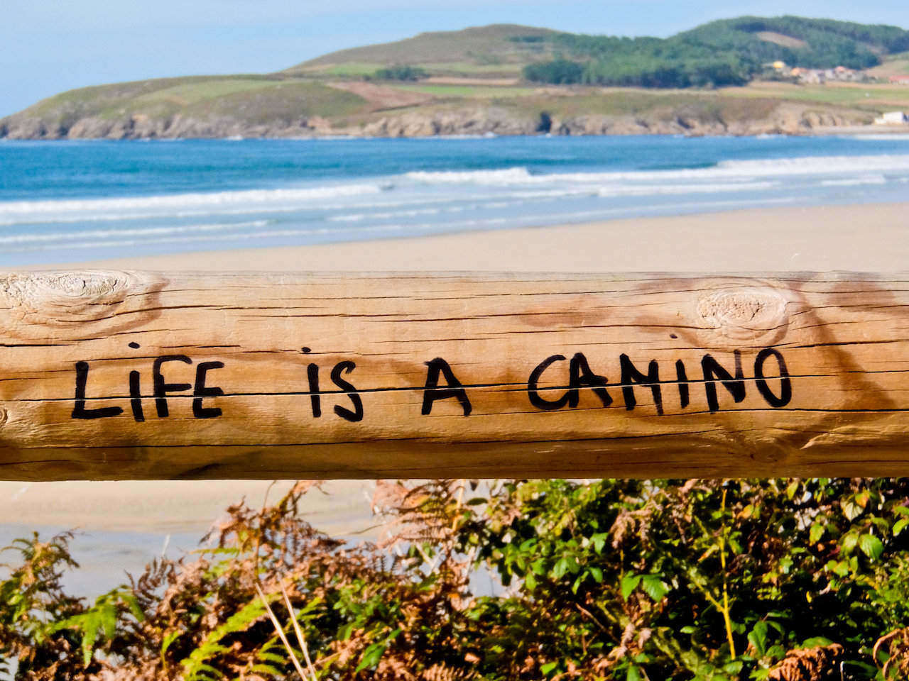 Life is a camino