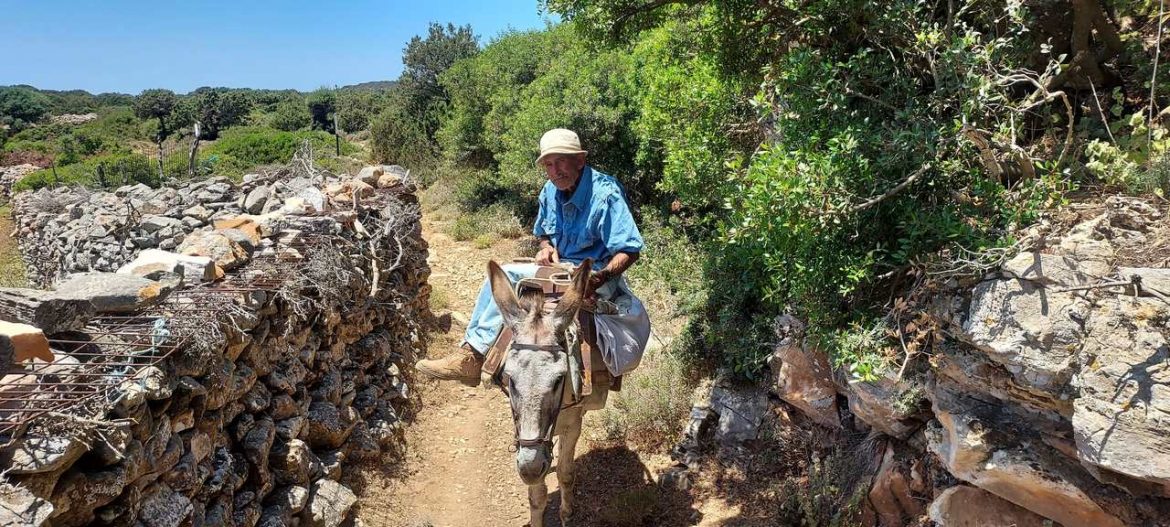 man with donkey, Sifnos