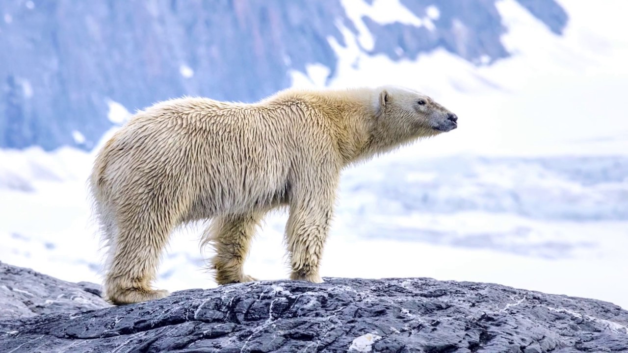 2 minute travel guide to Spitsbergen, Norway