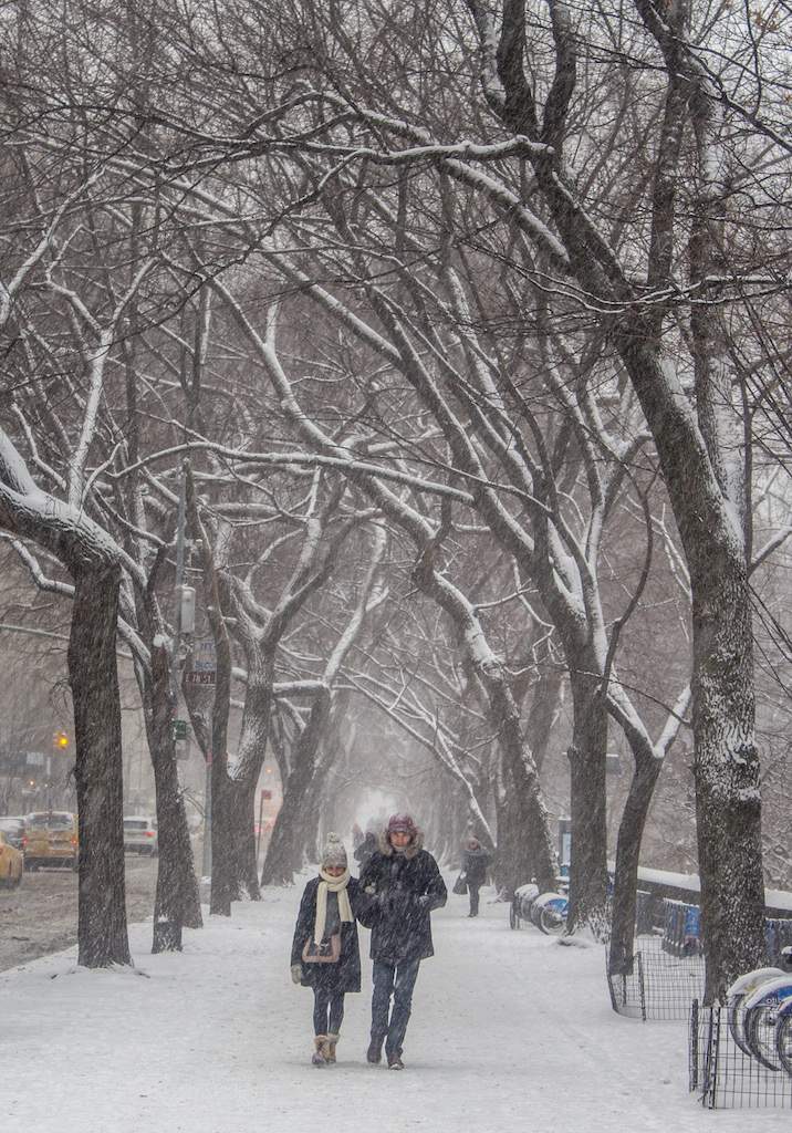 new york central park in winter couple walking