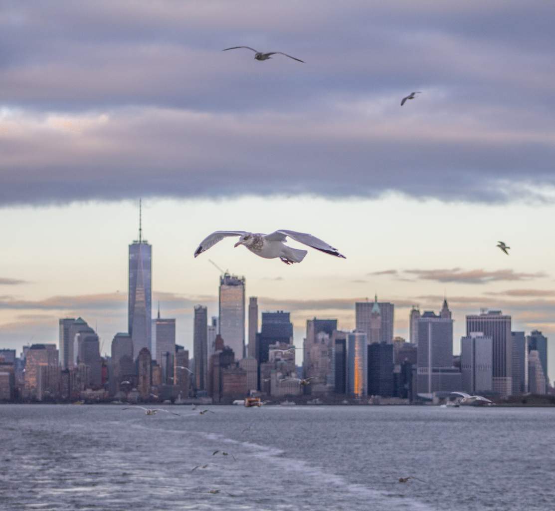 new york from the sea