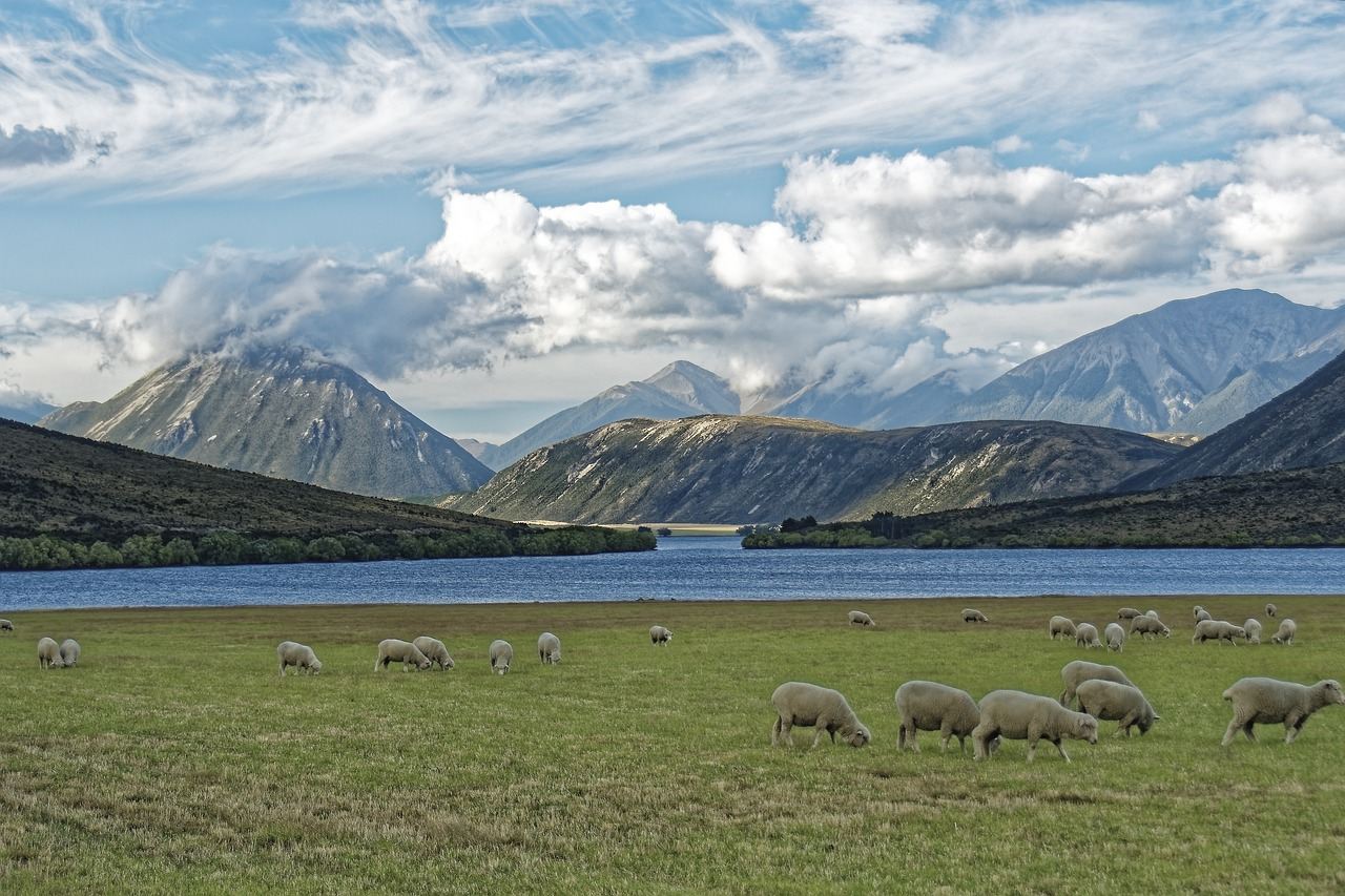 West Coast, New Zealand