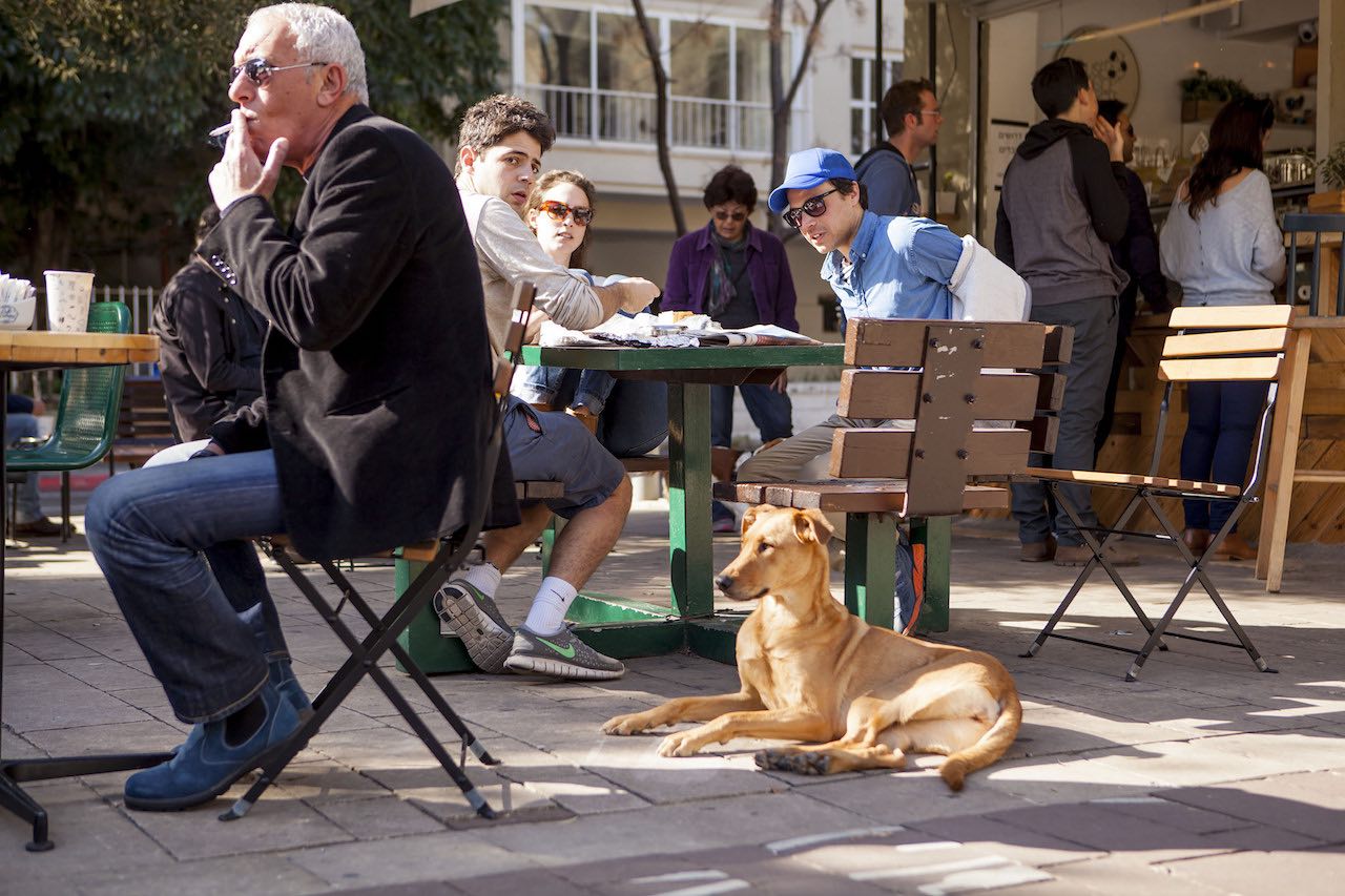 people sitting in cafe and a dog in Tel Aviv