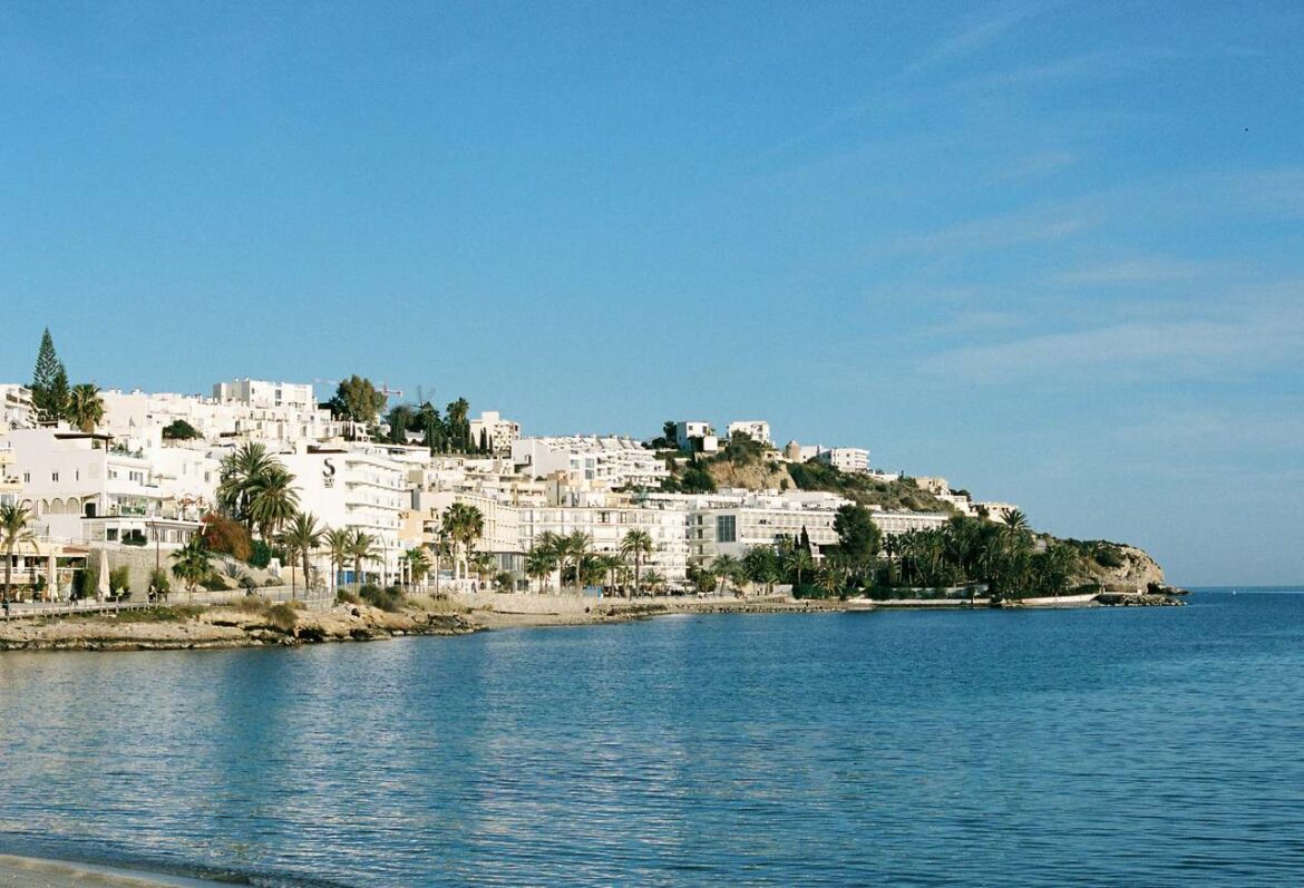 pexels-alinaskazka-28909567