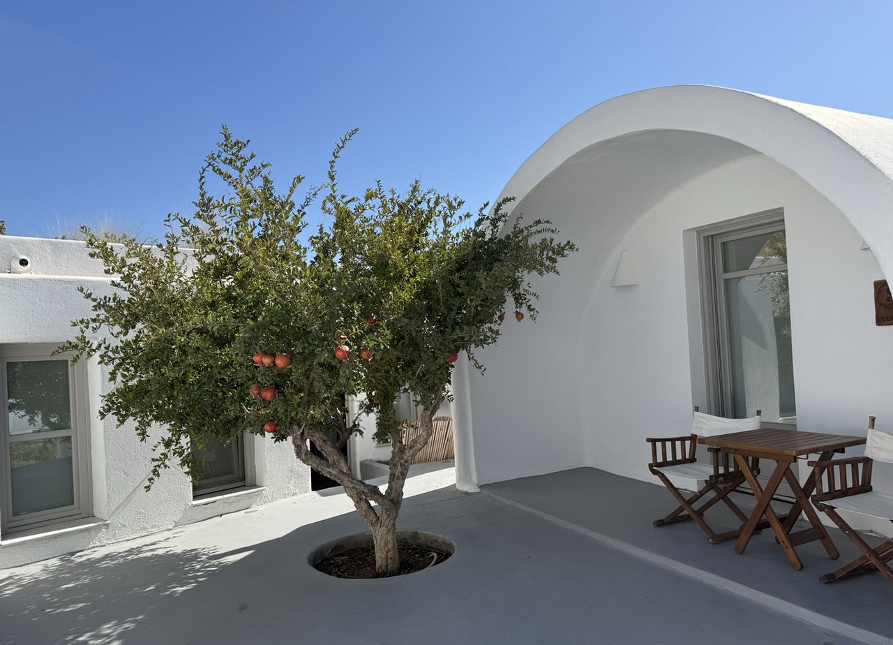 Pomegranate tree at Thimari Lodge