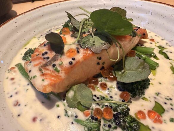 salmon