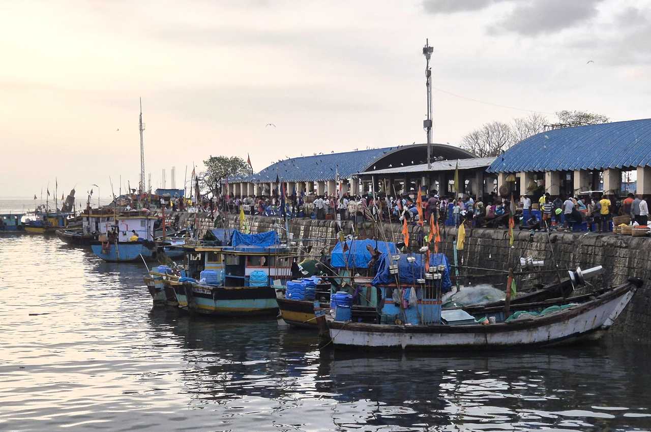 Sasson Dock Boats, Mumbai