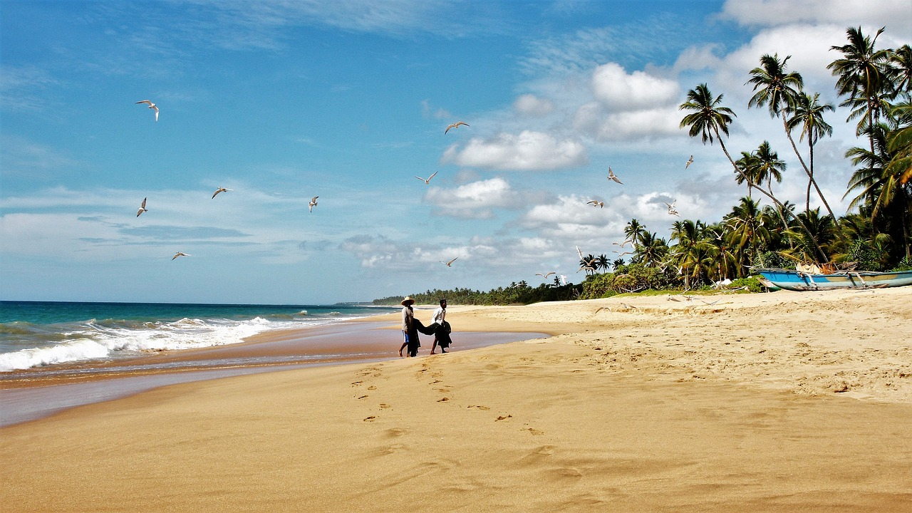 When is the Perfect Time to Visit Sri Lanka?