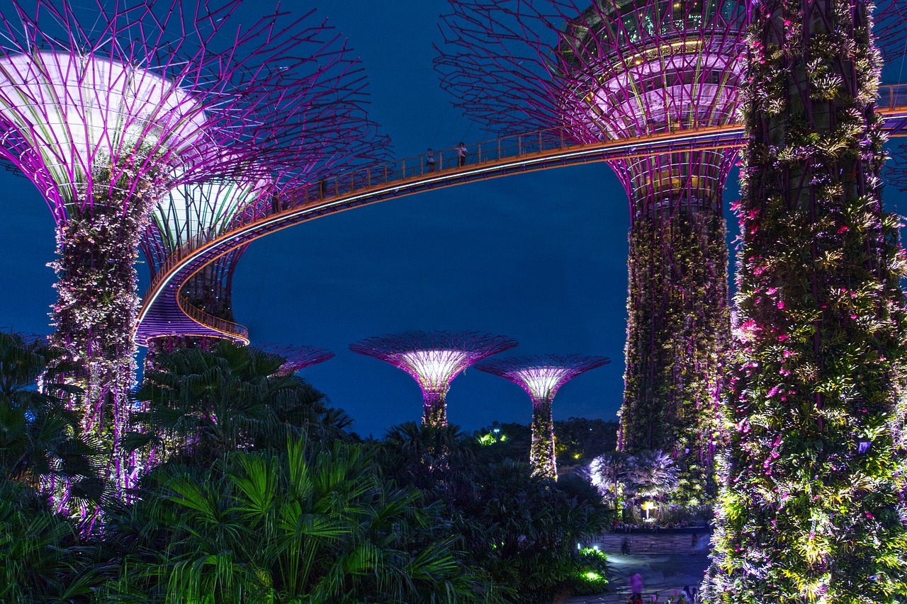 Supertree Grove, Singapore