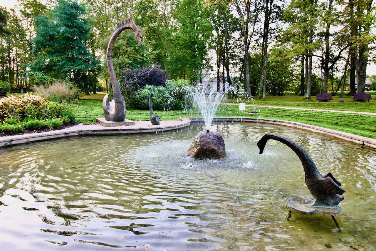Swans in Swan Park in Gulbene, Vidzeme in Latvia